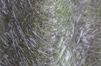 Gressenhall fibreglass roof work